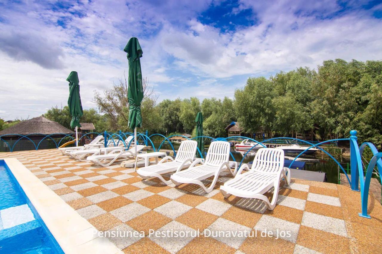 Pensiunea Pestisorul Dunavăţu de Jos Exteriör bild