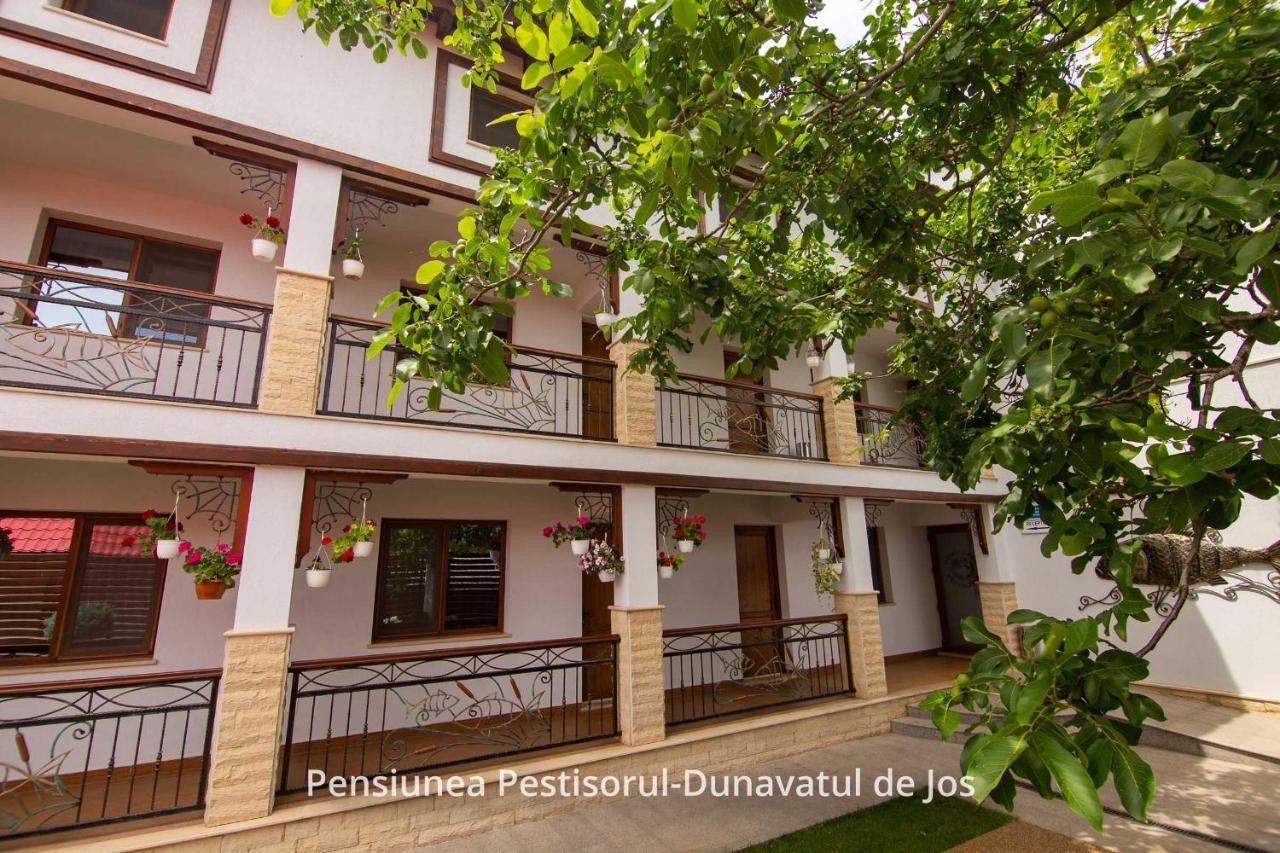 Pensiunea Pestisorul Dunavăţu de Jos Exteriör bild
