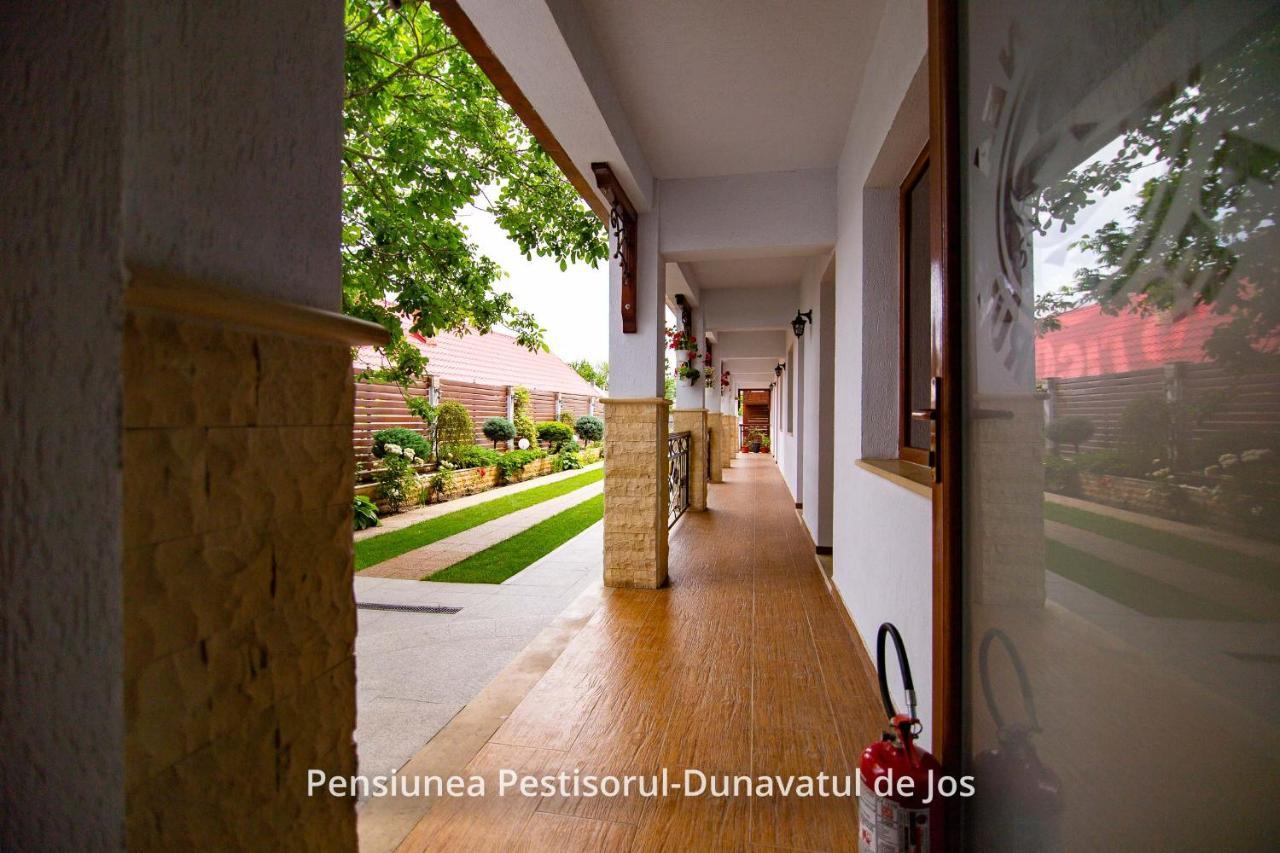 Pensiunea Pestisorul Dunavăţu de Jos Exteriör bild