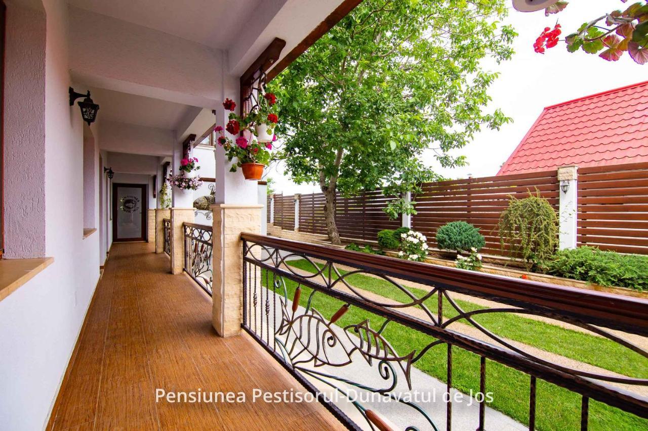 Pensiunea Pestisorul Dunavăţu de Jos Exteriör bild