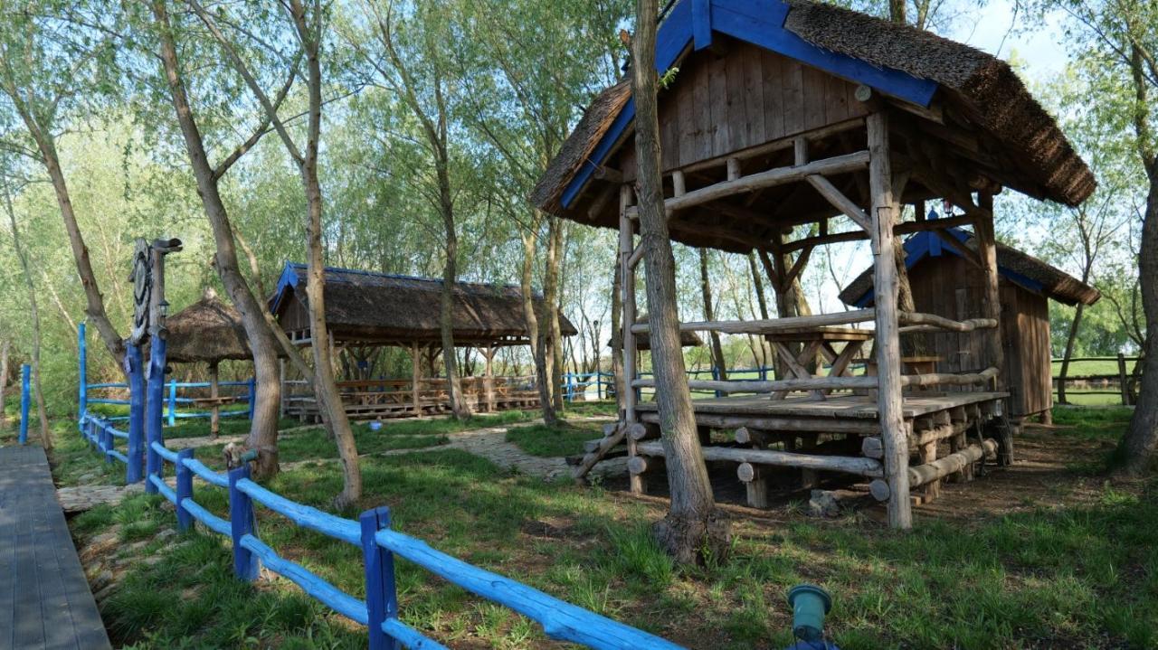 Pensiunea Pestisorul Dunavăţu de Jos Exteriör bild